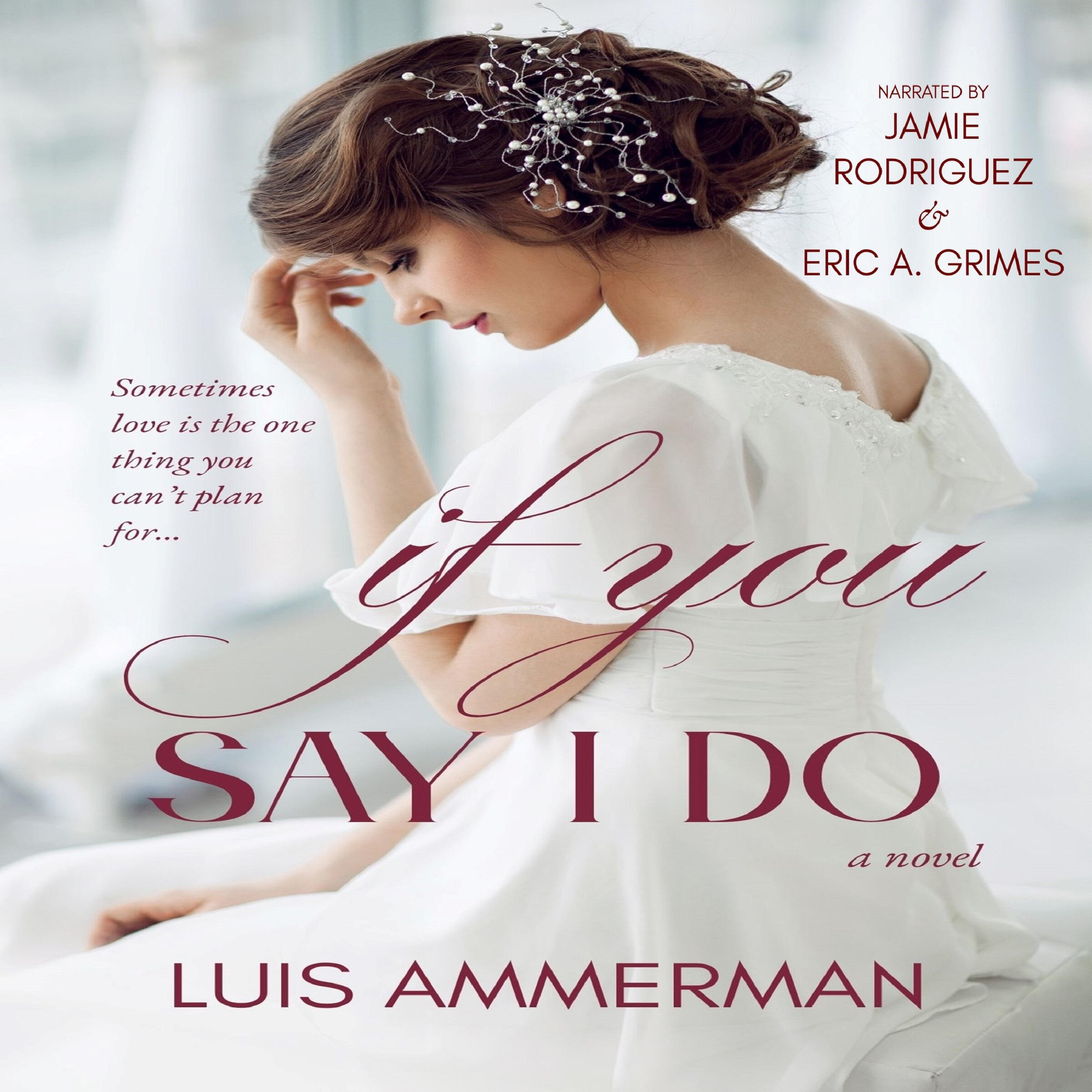 if you say i do luis ammerman